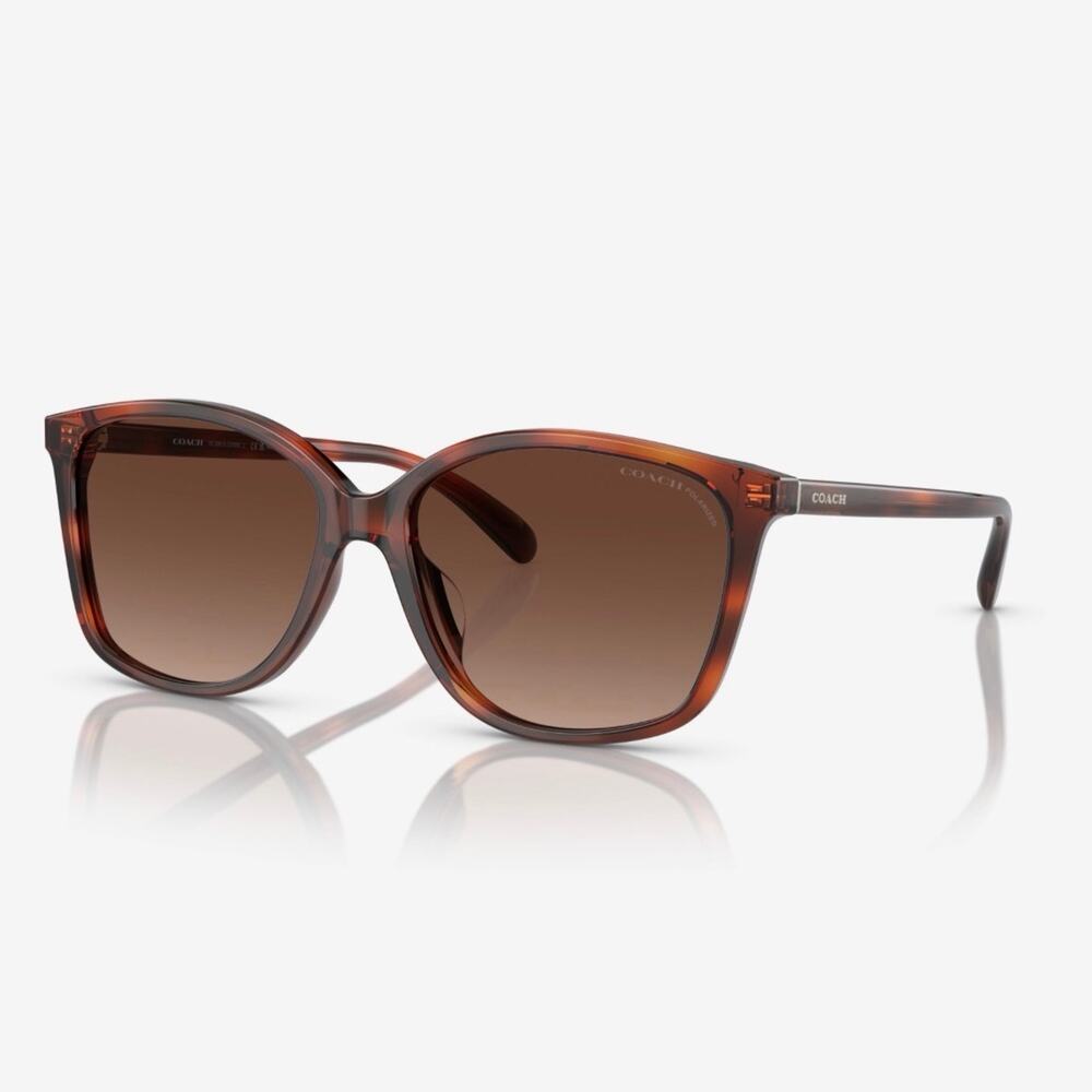 NEW Coach HC8271U L1101 Dark Tortoise Sunglasses